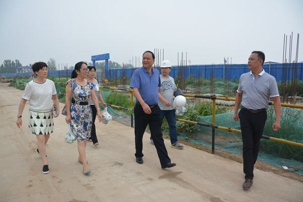 6、《河洛古城》樁基檢測工地工地.jpg